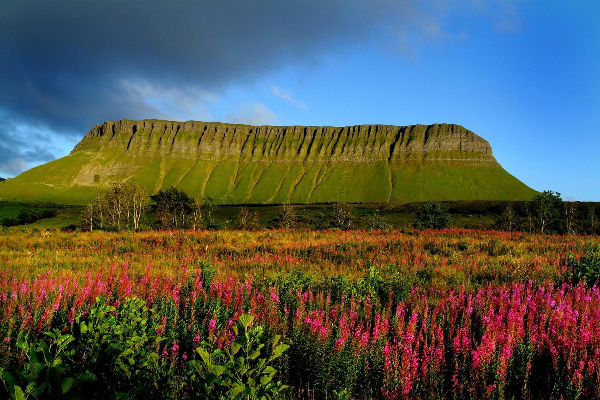 Vila Central Sligo Townhouse Exteriér fotografie